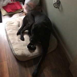 Meet your Posher, Donna